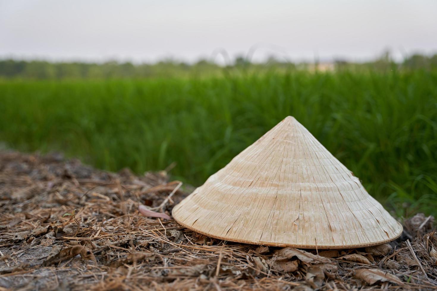 concept beauty of Vietnamese conical hat on the ground floor with blur green rice field background photo