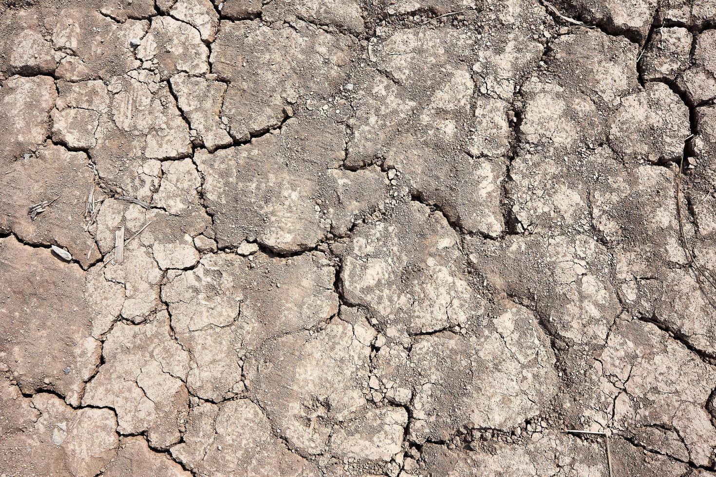 dried soil or cracked ground texture background. top view photo
