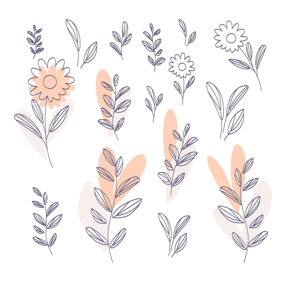 Flat design of linear leaves and flowers vector