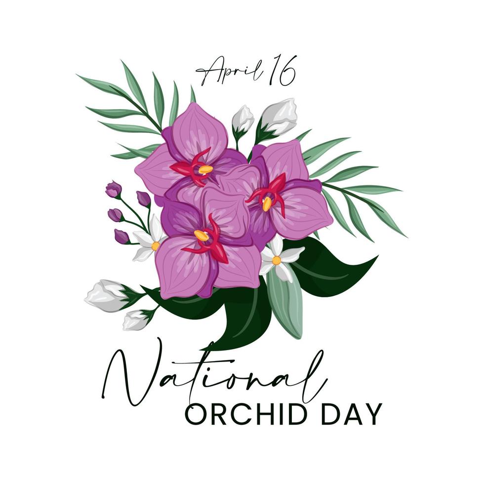 nacional orquídea día vector gráfico ilustración con Copiar espacio para texto. púrpura blanco orquídea flor aislado en un suave rosado antecedentes. orquídea día