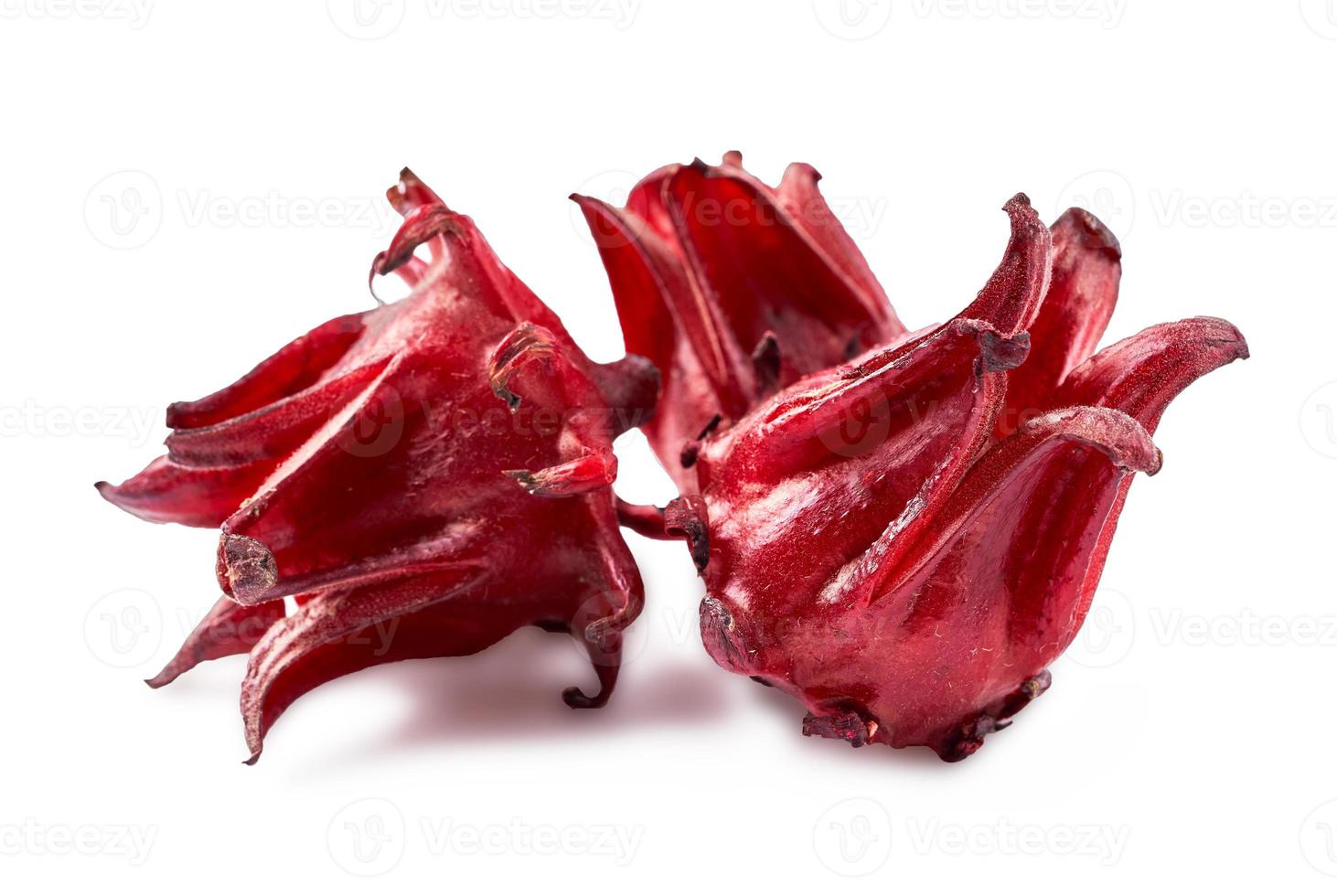 fresh red roselle fruits or hibiscus sabdariffa isolated on white background with clipping path photo