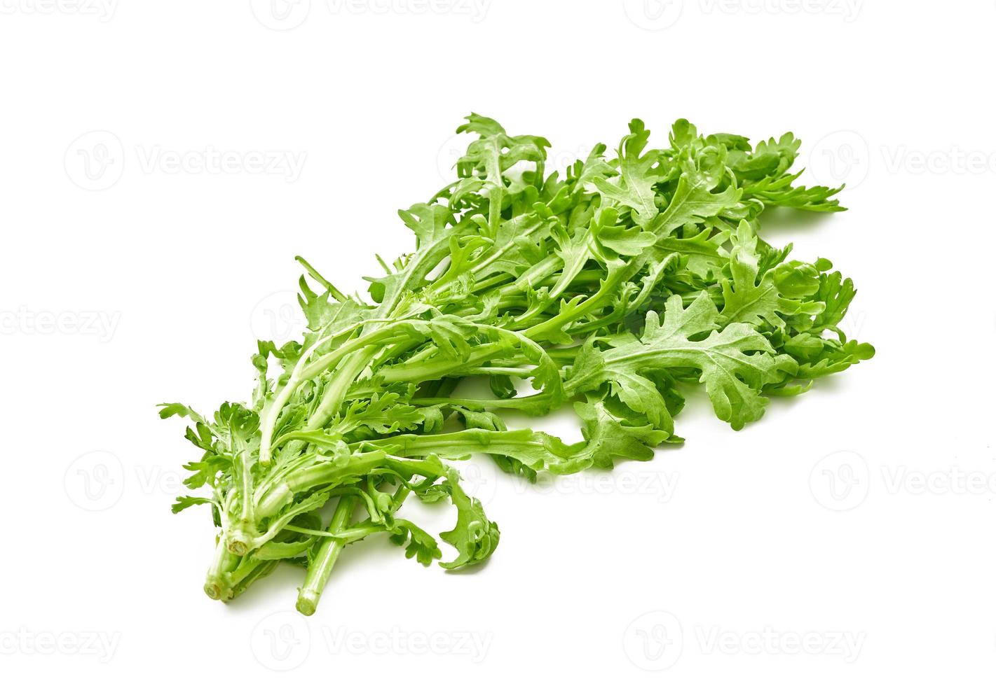 green leaves bunch crown daisy or garland chrysanthemum. glebionis coronaria isolated on white background. tong ho, Shungiku photo