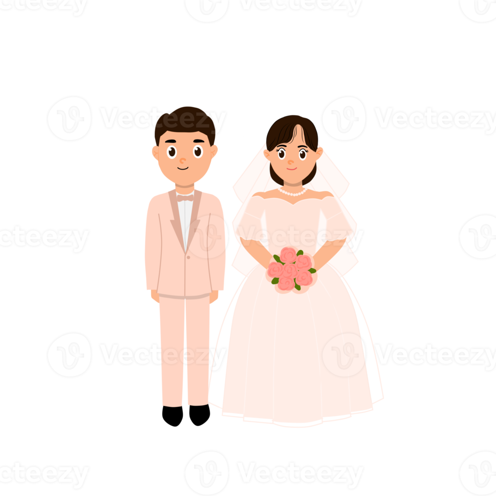 Wedding couple and married character png