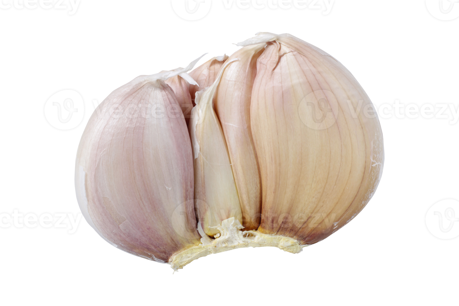 garlic isolated on a transparent background.png png