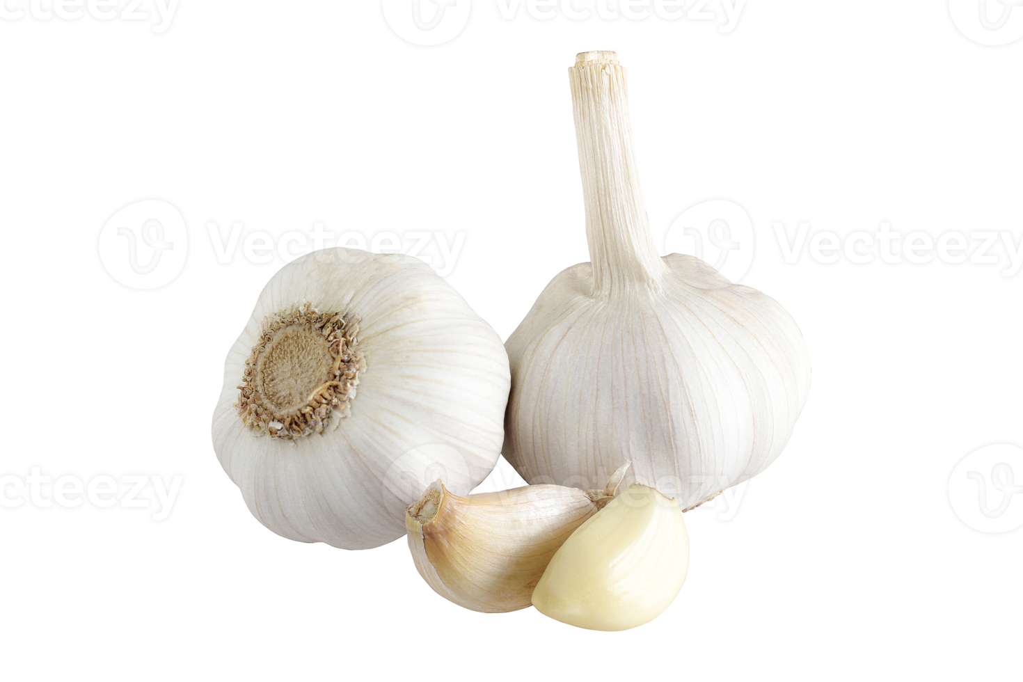 garlic isolated on a transparent background.png png