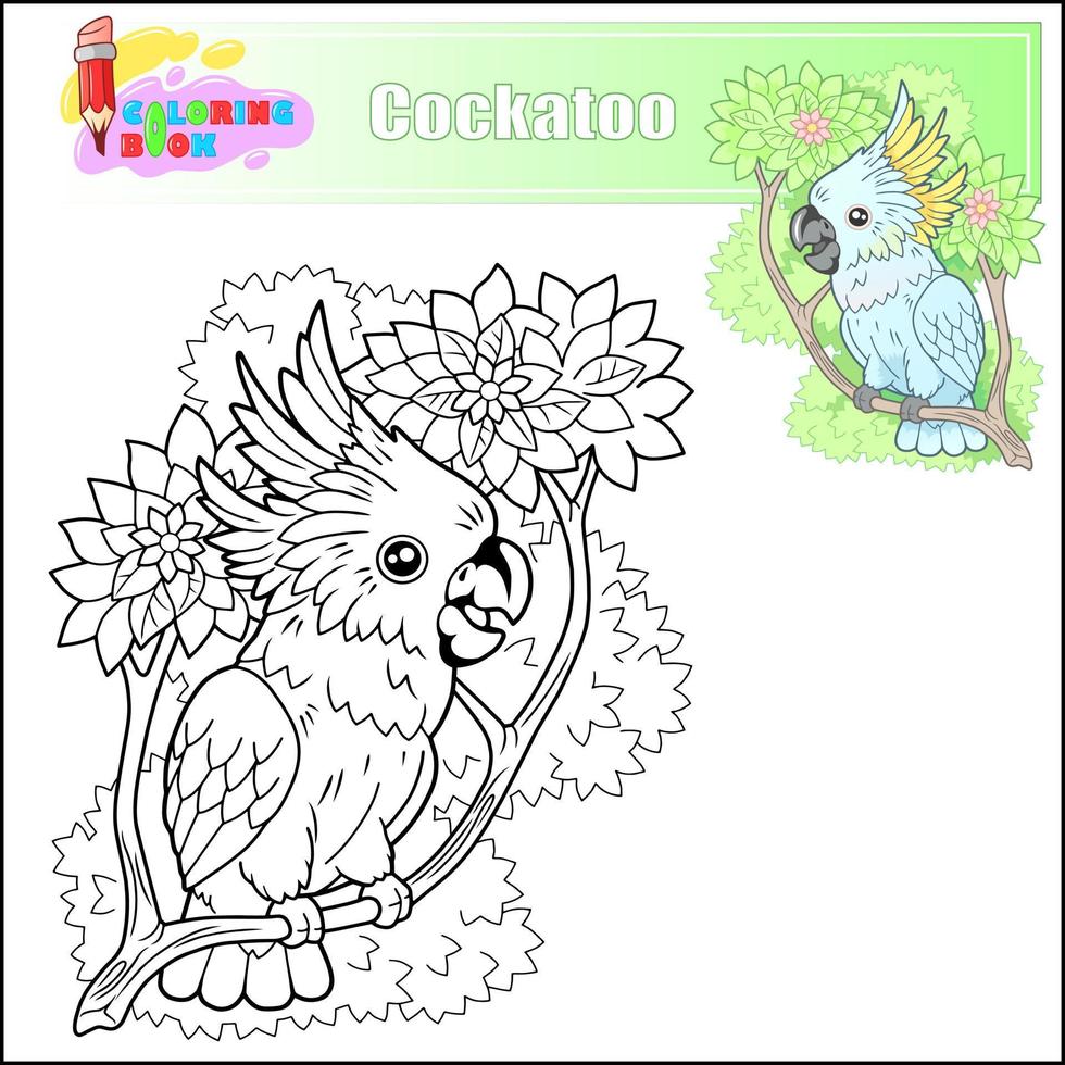 funny cartoon cockatoo parrot coloring book vector