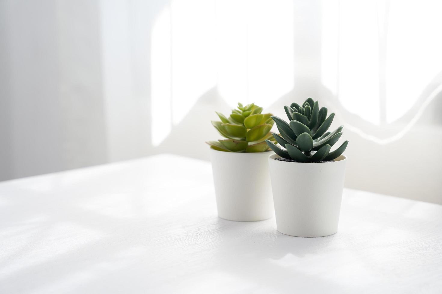 the abstract white with flowerpot on a table near the window and curtain clean minimal style mood background photo