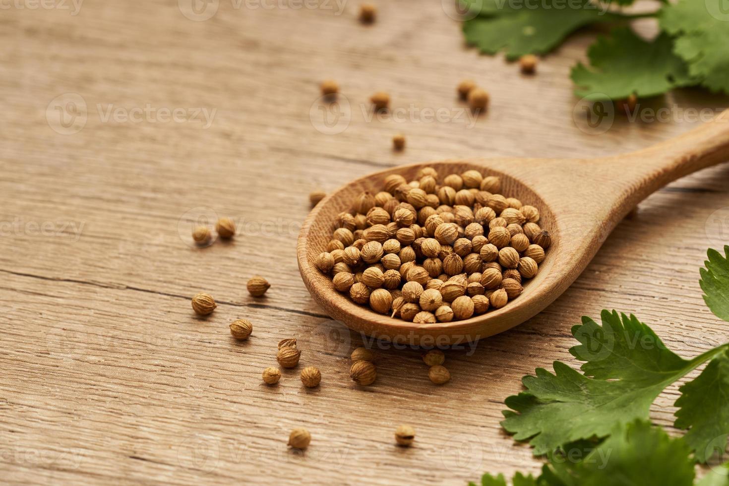 close up dry coriander seed spice in wooden spoon and leaf or leaves on wood table background with copy space photo