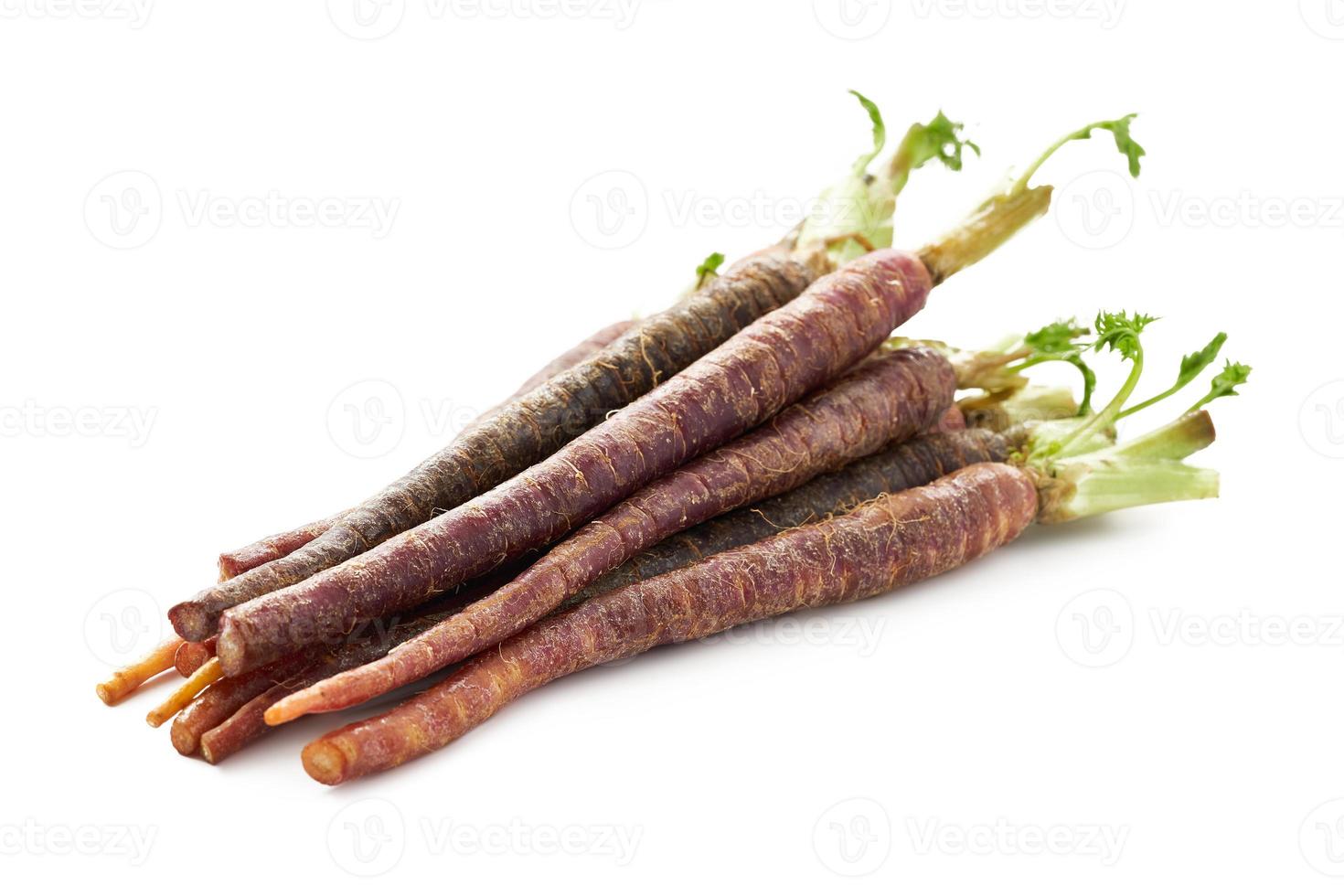 Carrot Baby Purple isolated on white background. Carrot Baby Purple isolated. black Carrot Baby Purple isolated photo