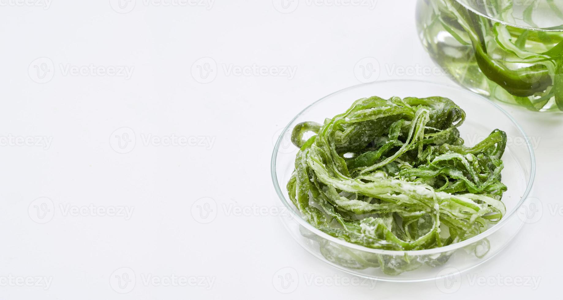 concept of ecology science research biology with seaweed stem or kelp in the laboratory on white background photo
