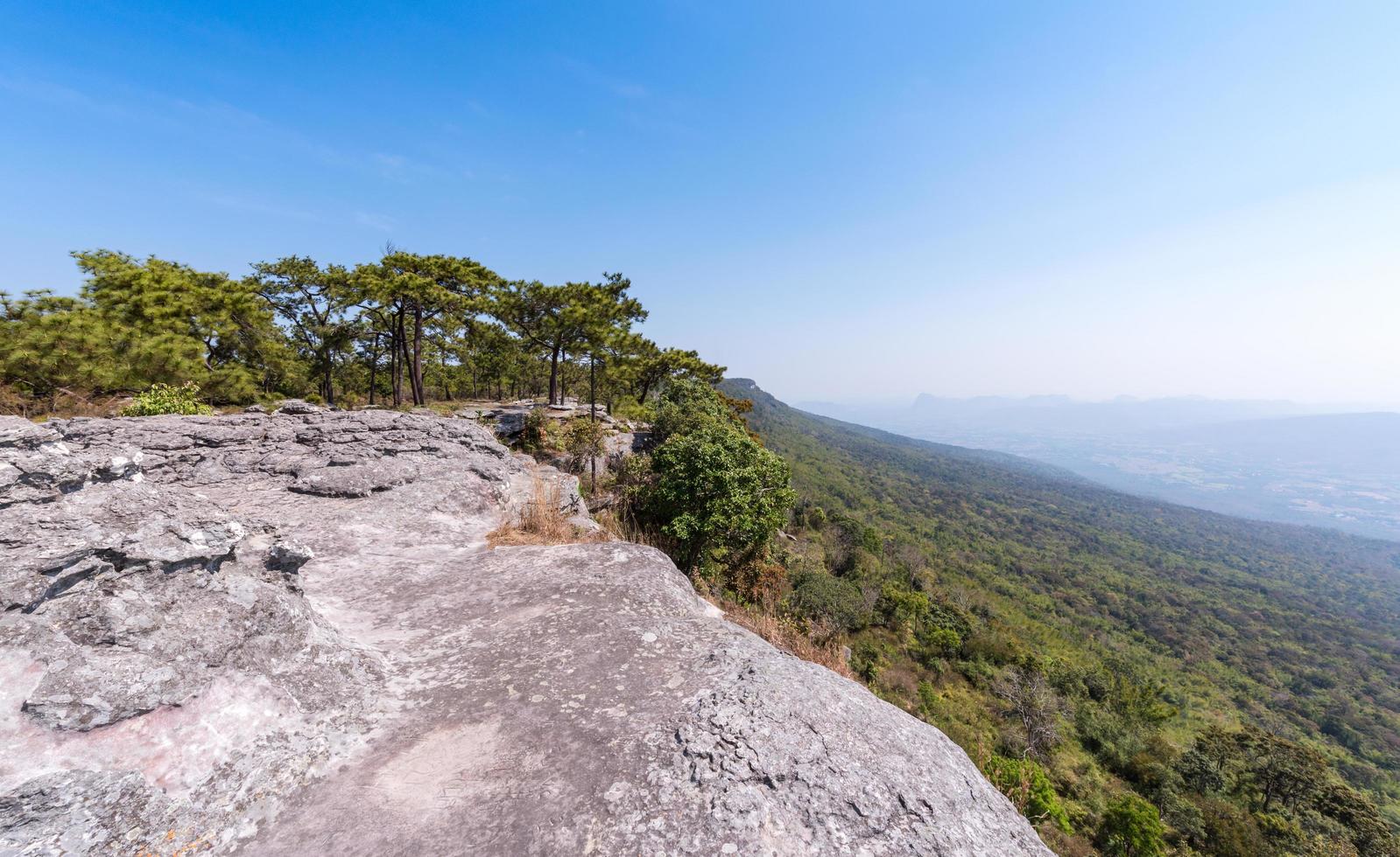 landscape of rock and pine forest in nature park on blue sky photo