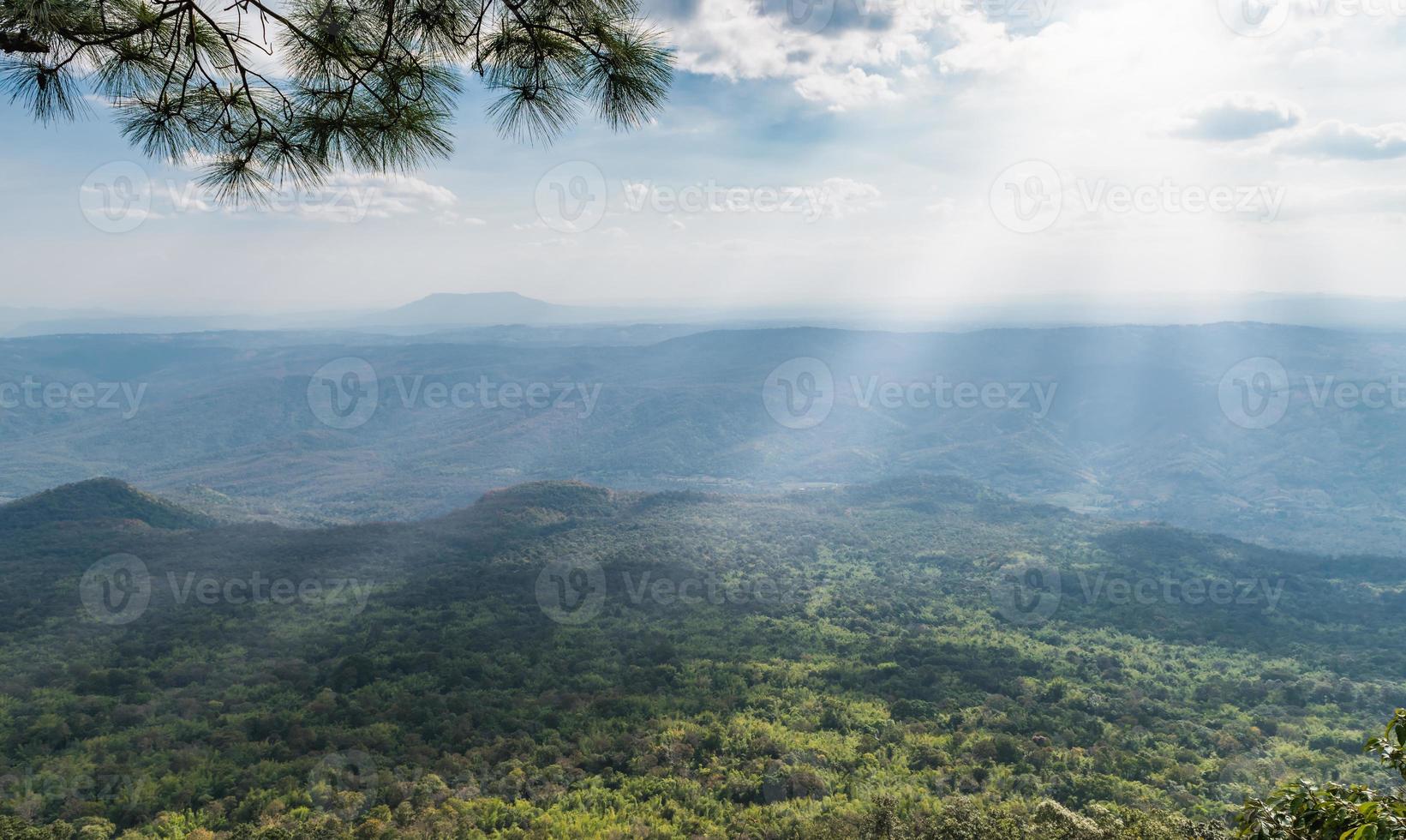 luz de sol y cielo con paisaje y bosque foto