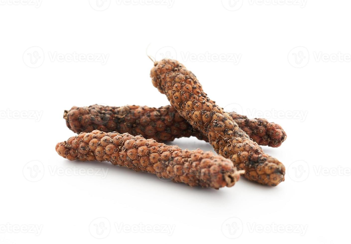 long pepper or piper longum isolated on white background. heap of long pepper or piper longum isolated. long pepper, piper longum photo