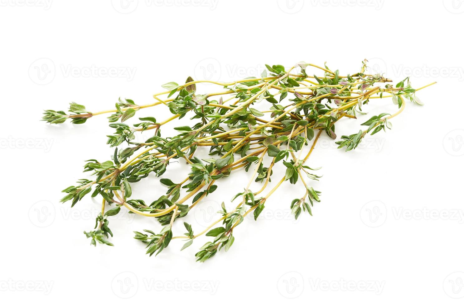 thyme leaves isolated on white background. heap of green thyme leaves isolated on white background. fresh thyme leaves isolated on white background photo