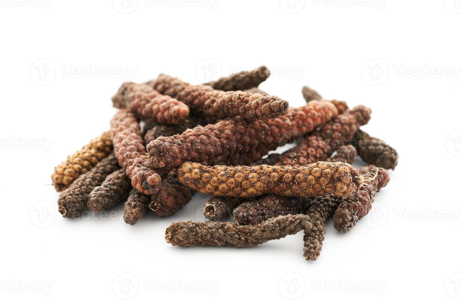 long pepper or piper longum isolated on white background. heap of long pepper or piper longum isolated. long pepper, piper longum photo