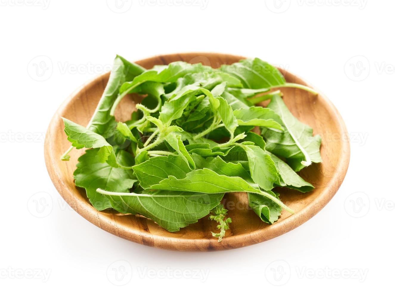 green holy basil leaves of leaf in wood bowl isolated on white background. fresh green holy basil leaves of leaf isolated. holy basil photo