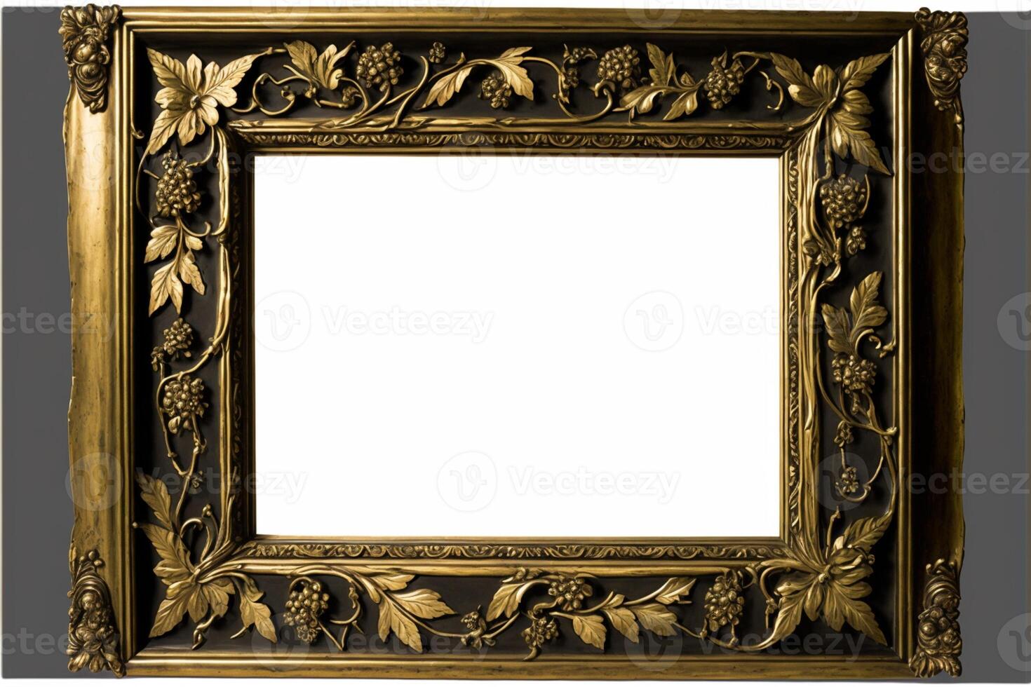 old masters floral frame. photo