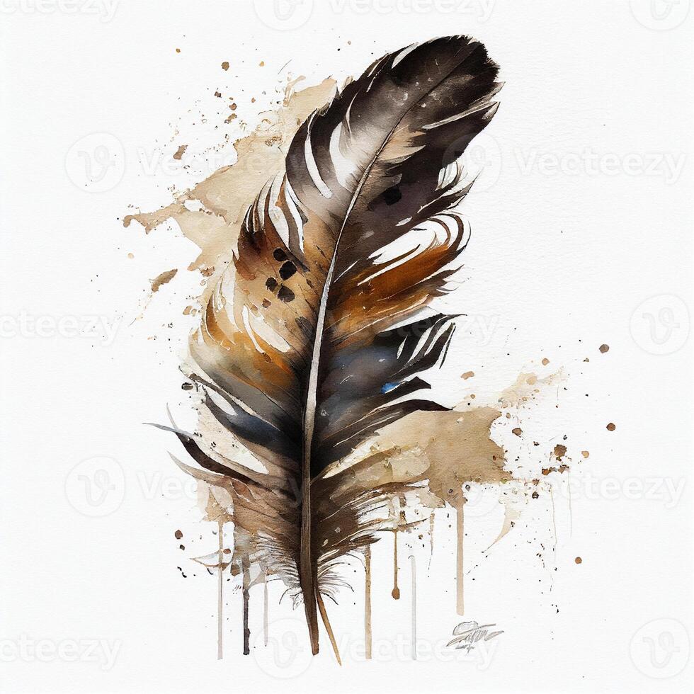 western feather watercolor white background. photo