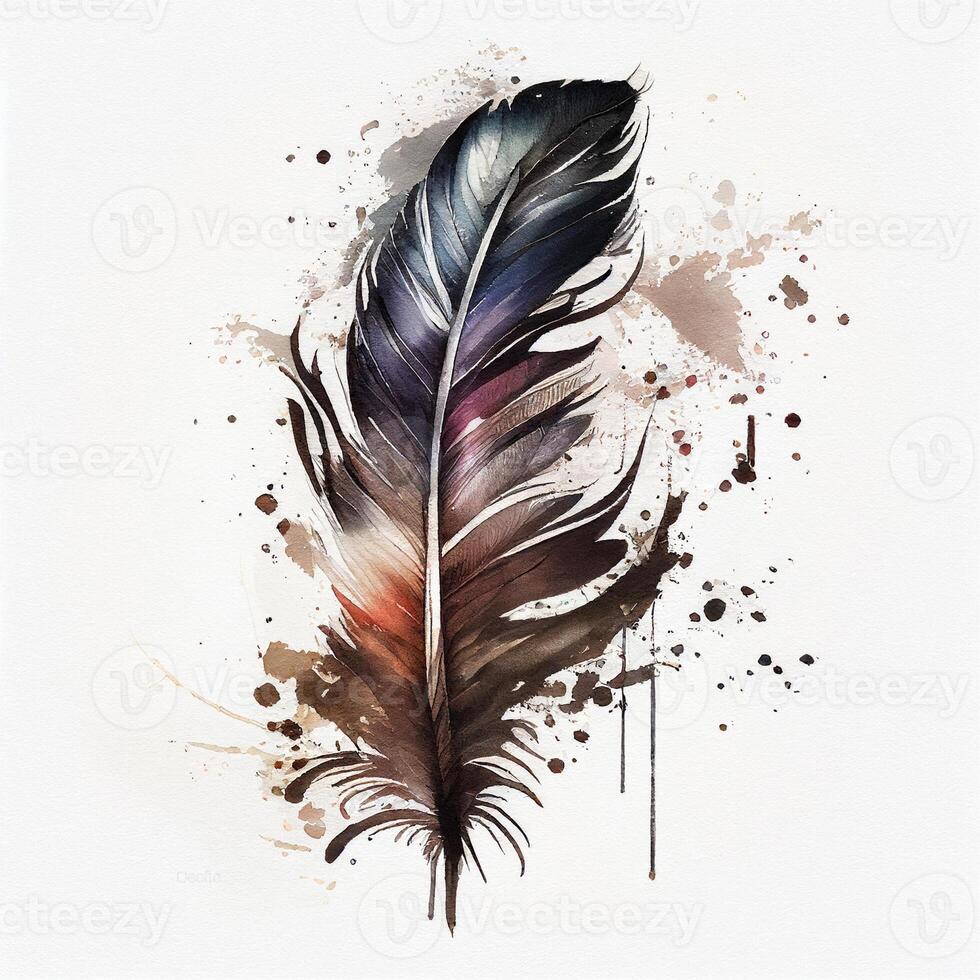 western feather watercolor white background. photo