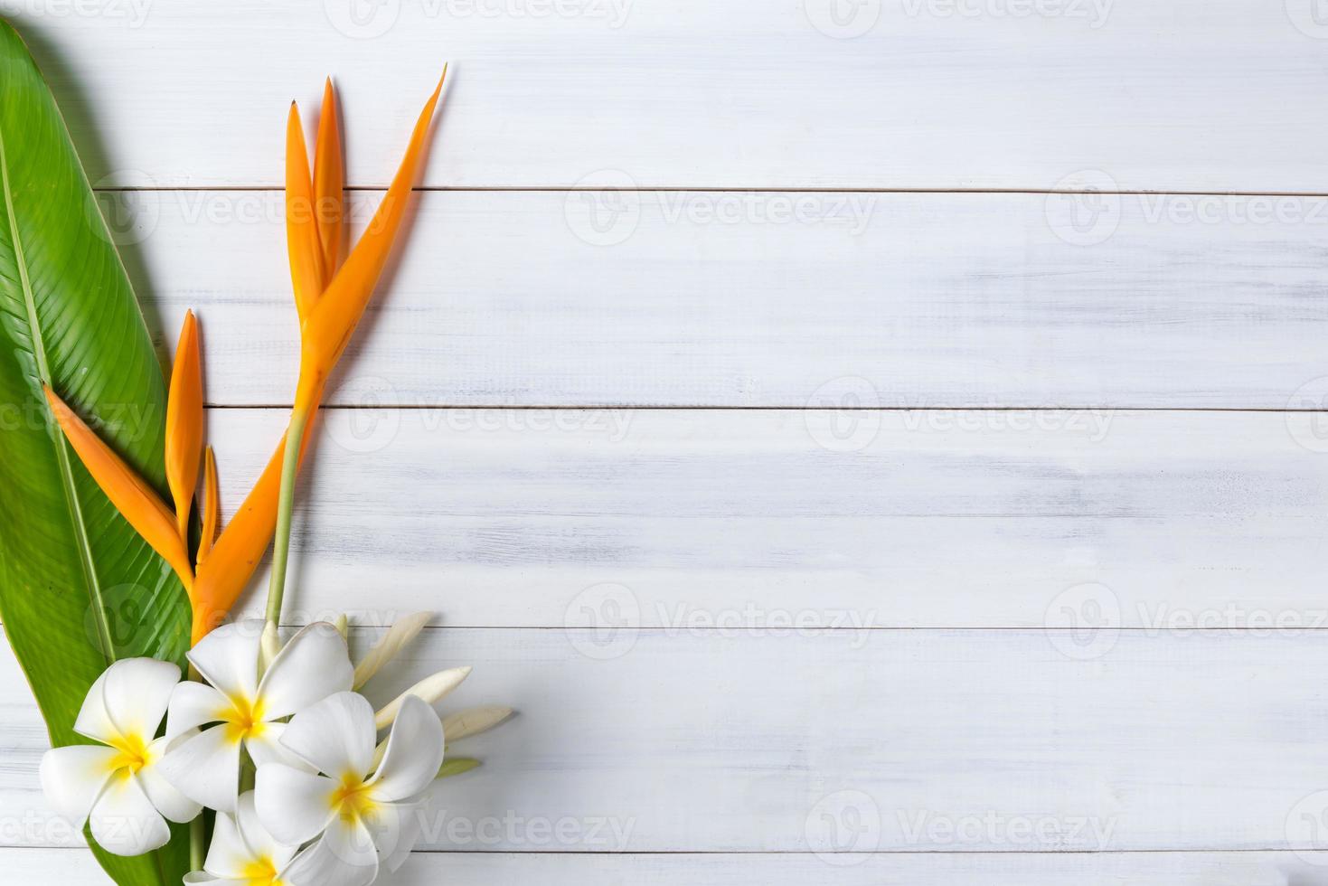 white wood texture with Heliconia and plumeria flower photo