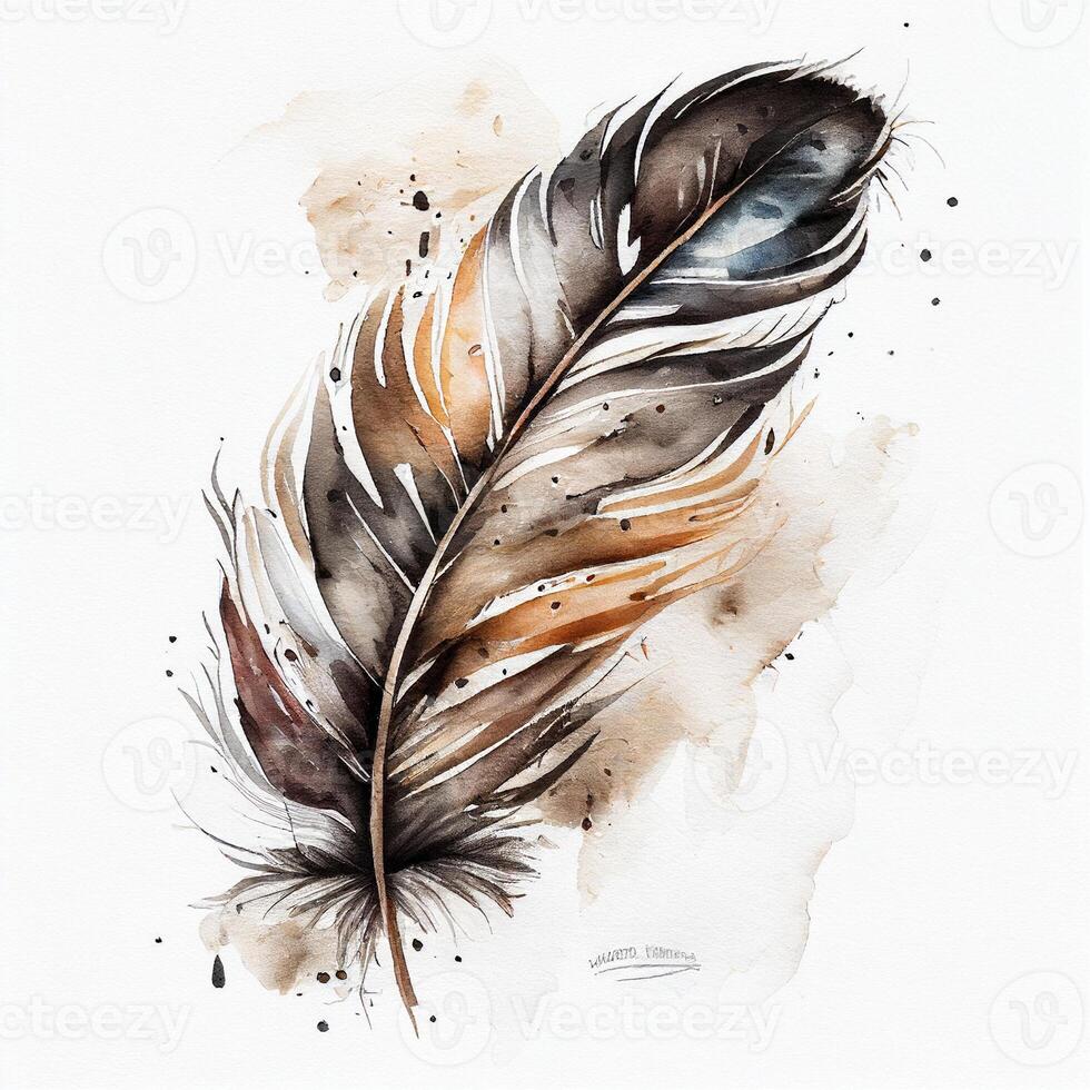 western feather watercolor white background. photo