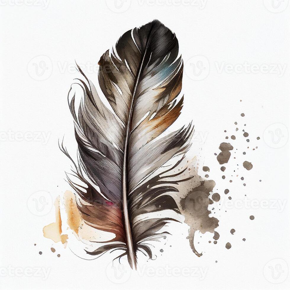 western feather watercolor white background. photo