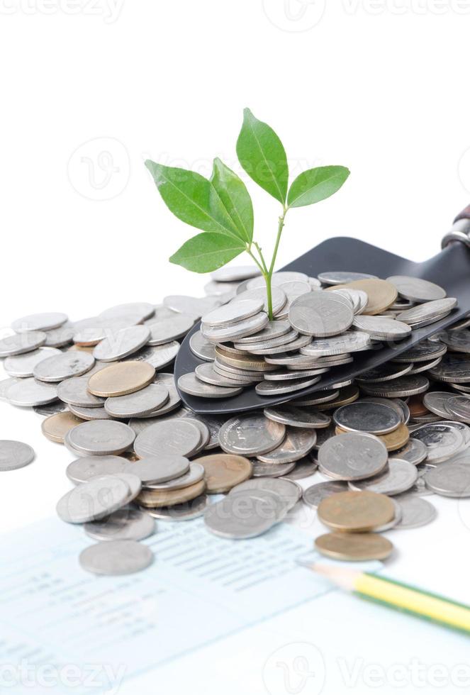 plant growing out of silver coins on gardening trowel isolated photo