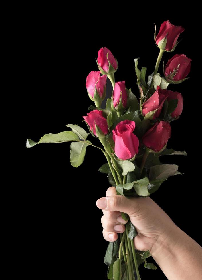 red and pink roses on hand man isolated on black photo