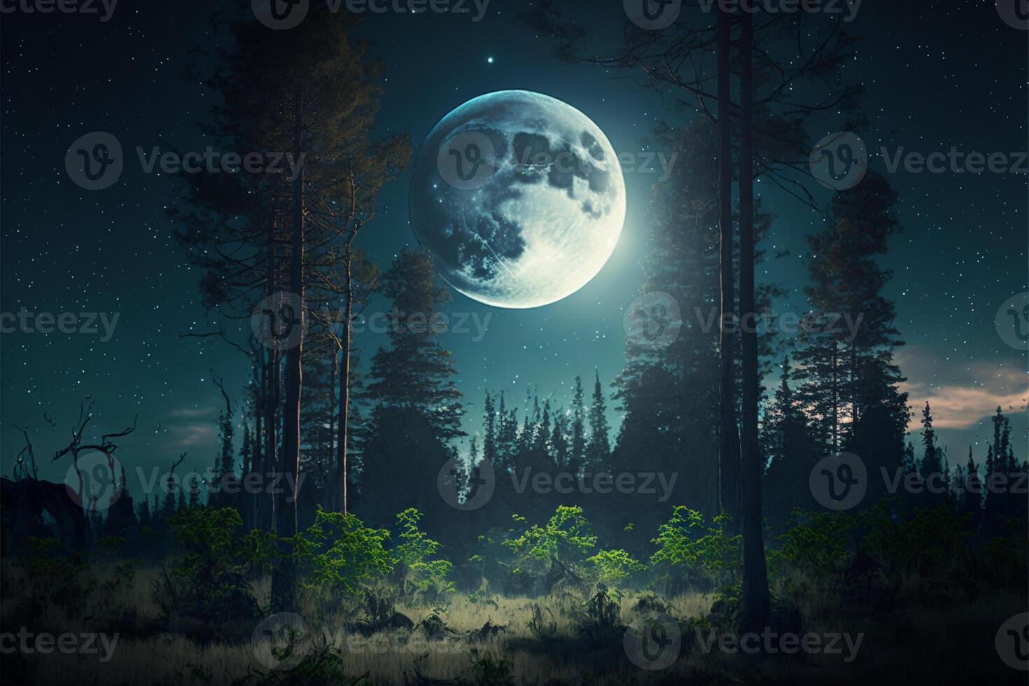 forest with moonrise between the trees evening sky moon. photo