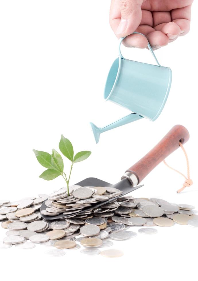 Businessman watering a tree growing out of silver coins on gardening trowel photo