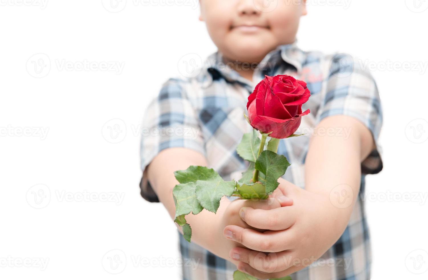 red rose in little hand boy isolated photo