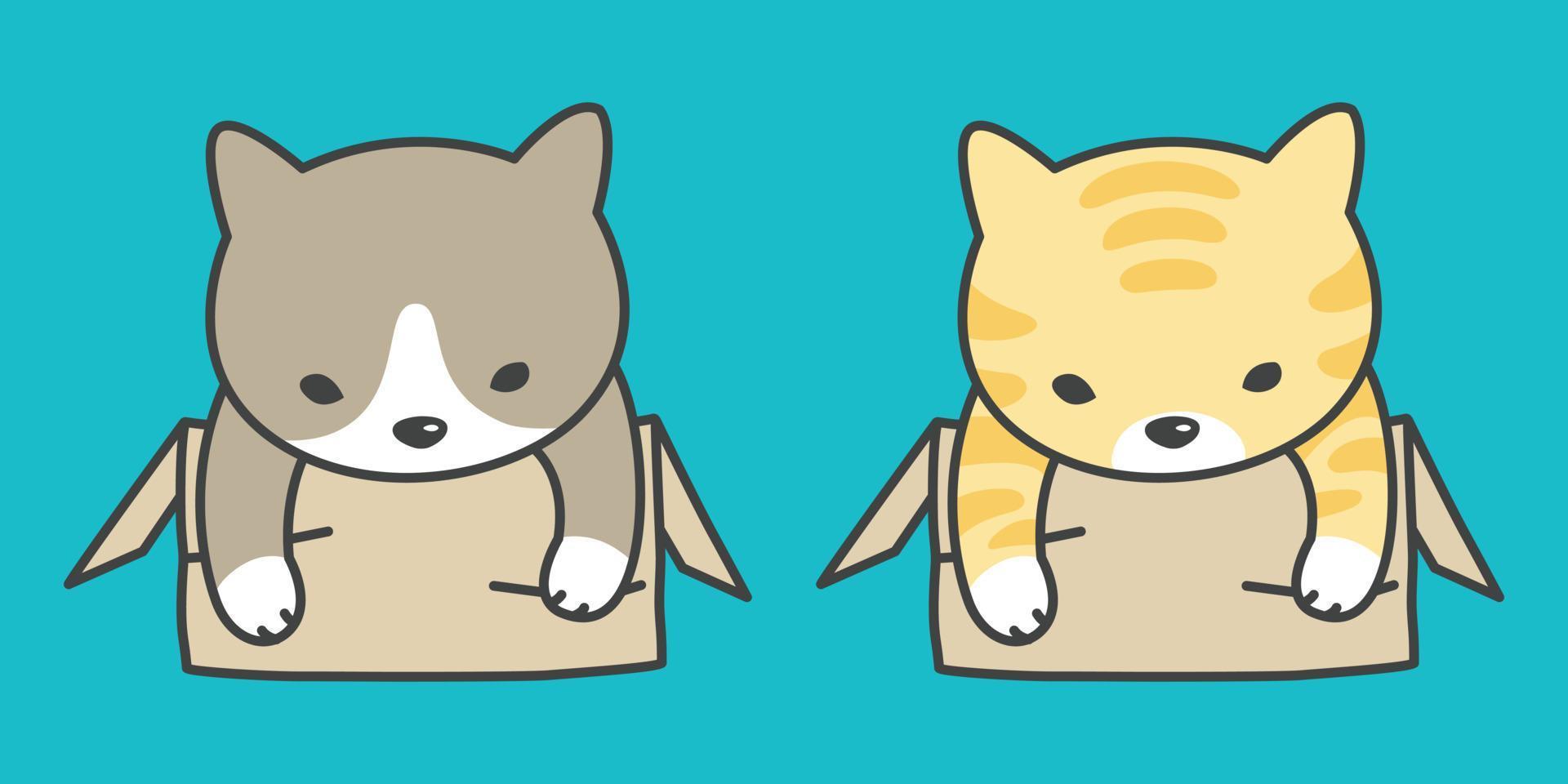cat vector icon kitten calico box cartoon character illustration doodle