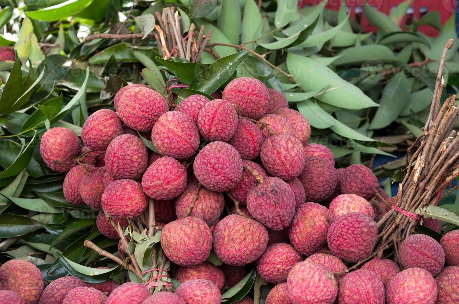 Fresh lychee fruit at market thailand in southeastasia. photo