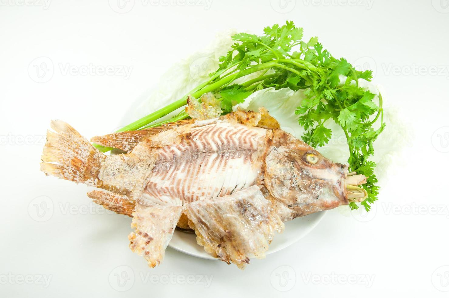 Tilapia grilled salt on white dish on white background photo