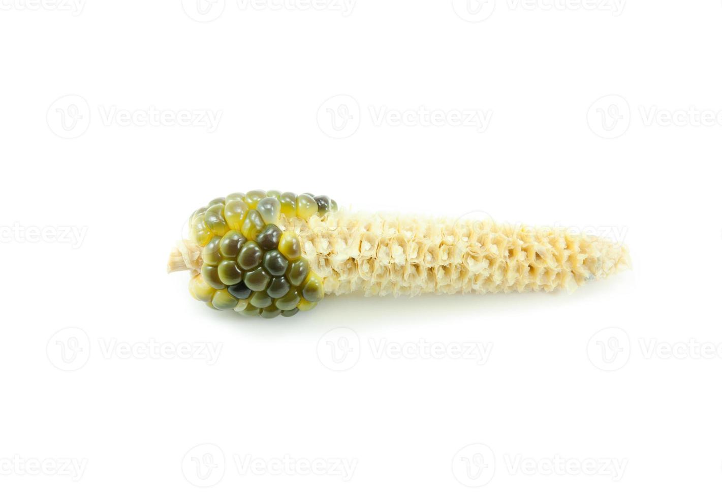 sweet and delicious little corn on white background photo