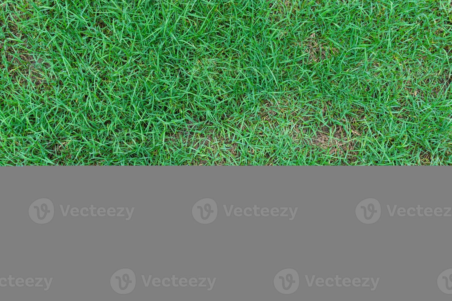 Abstract  top view green color of grass background texture ,for background photo