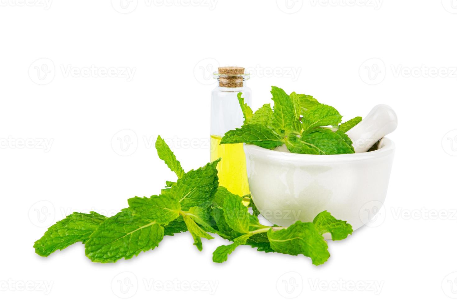 mortar with herbs on white background photo