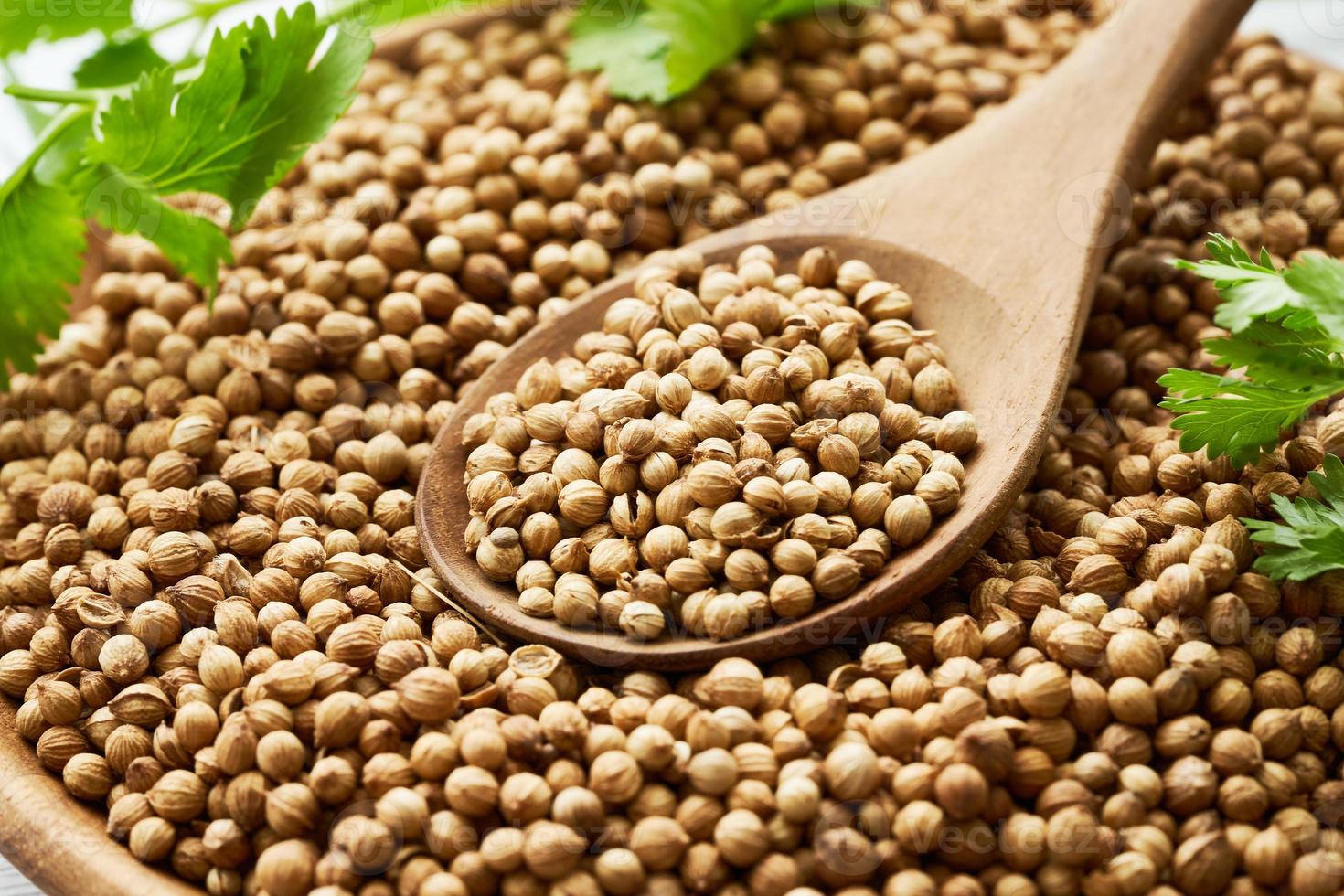dry coriander seed spice and leaf or leaves in wood plate and spoon on wooden table background photo