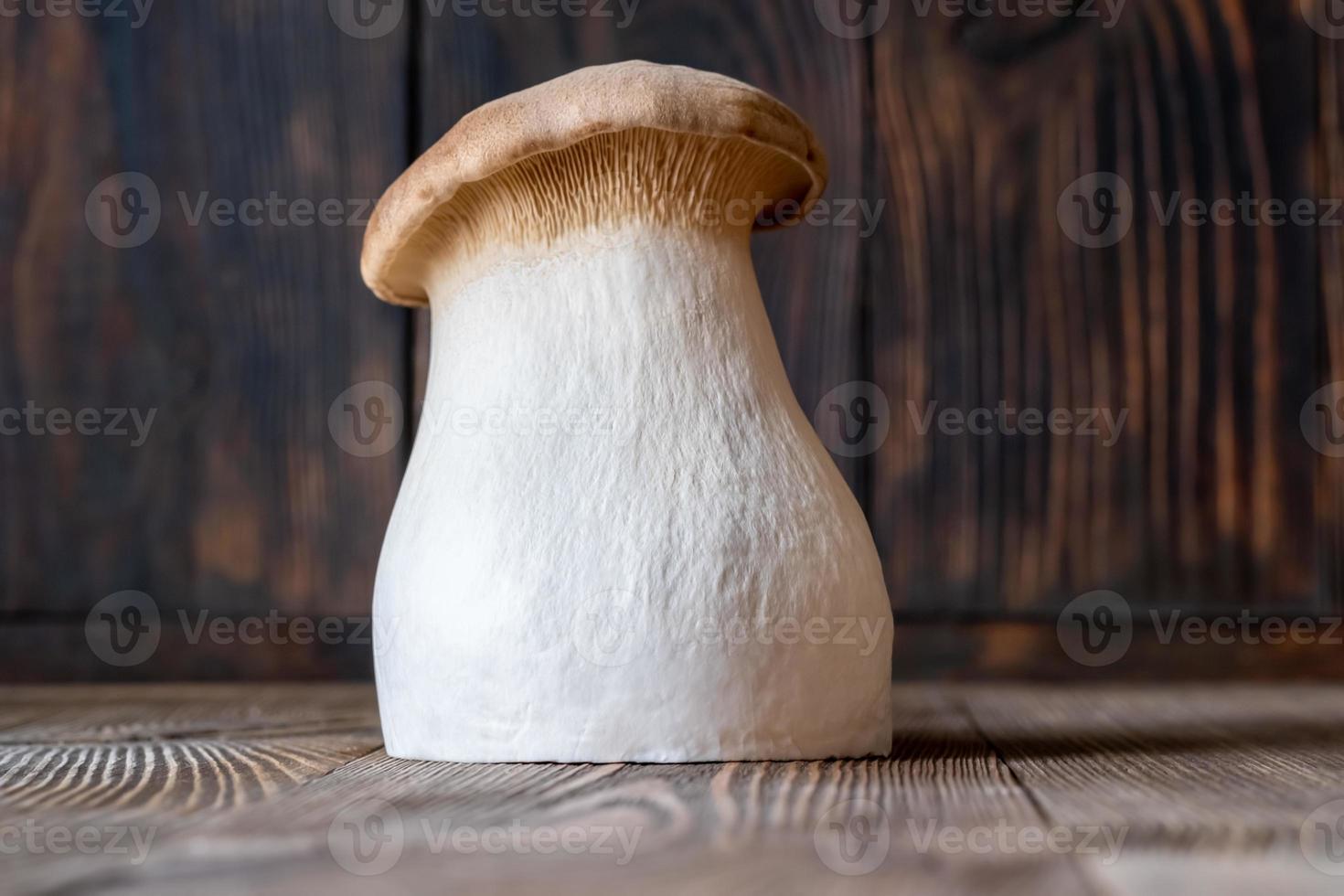 King oyster mushroom photo