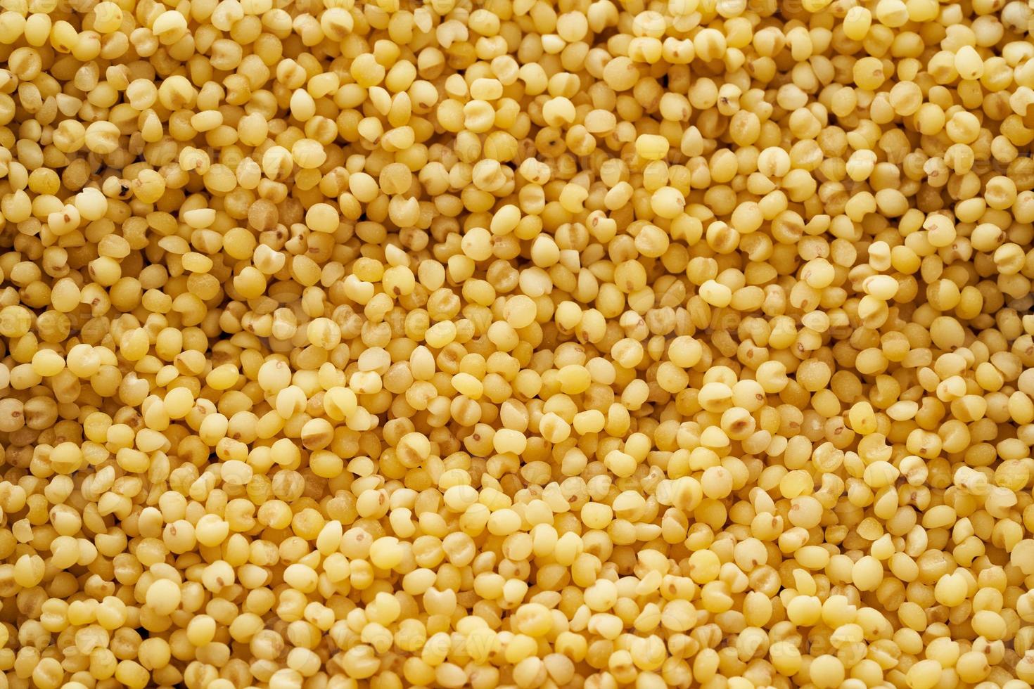 sorghum or sorghum grain, millet grain or millet seed texture ...