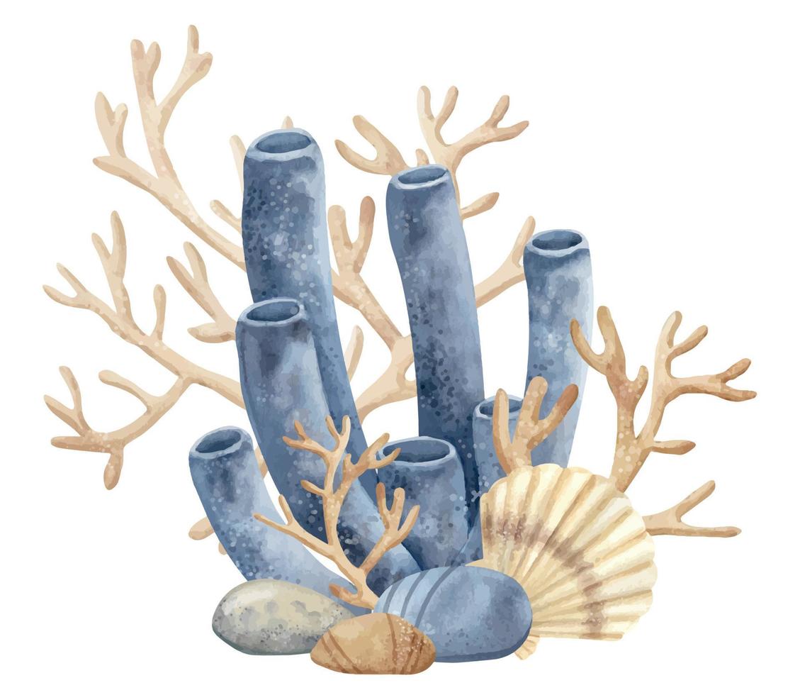 coral arrecifes con concha y fondo del mar. acuarela mano dibujado ilustración de mar piso en aislado antecedentes para icono o logo. submarino composición con algas marinas y piedras en beige y azul colores vector