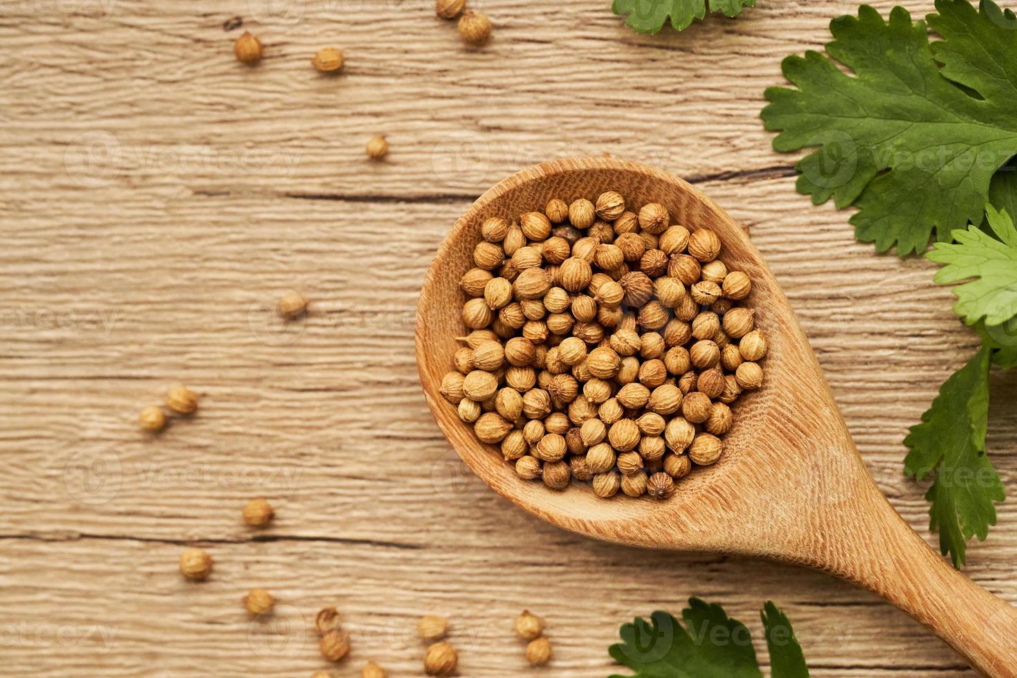 top view or flat lay dry coriander seed spice in wooden spoon and leaf or leaves on wood table background with copy space photo