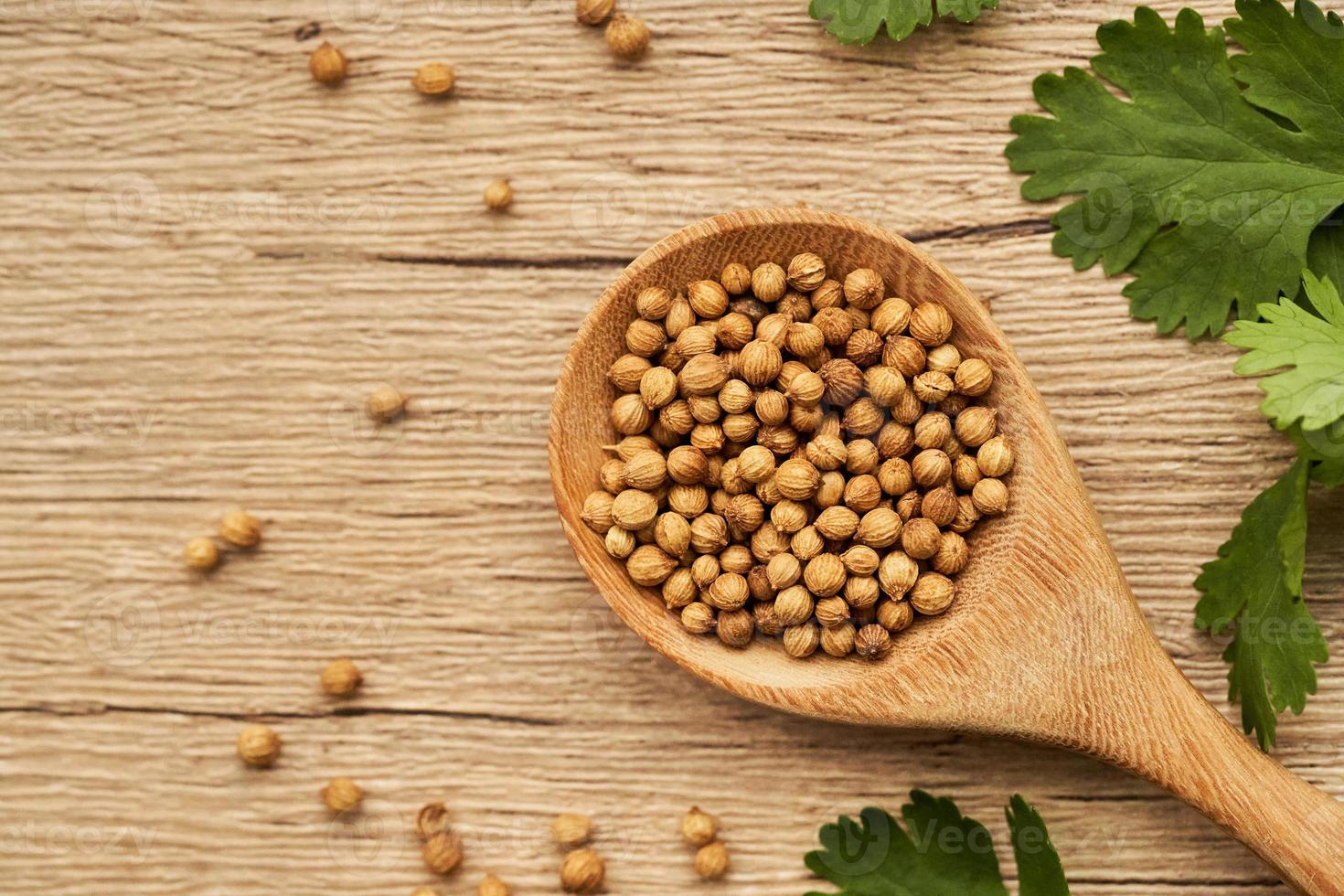 parte superior ver o plano laico seco cilantro semilla especia en de madera cuchara y hoja o hojas en madera mesa antecedentes con Copiar espacio foto