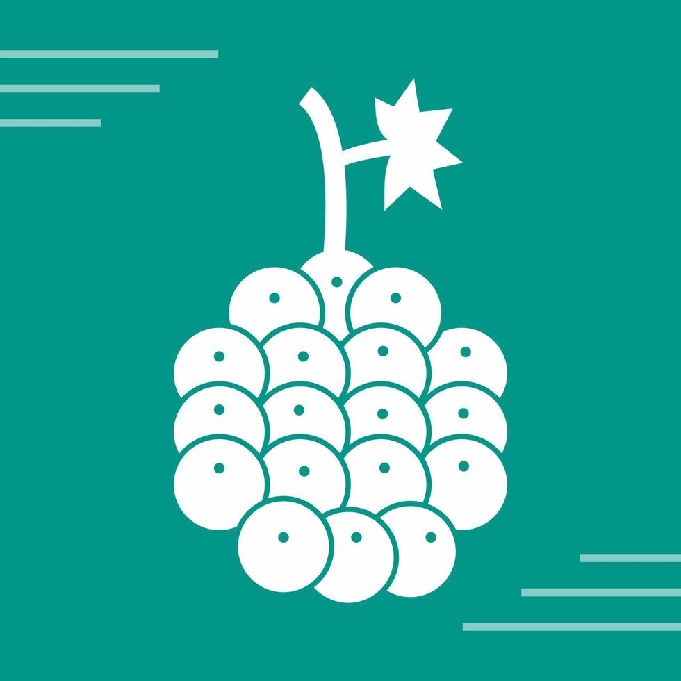 Raspberry Vector Icon