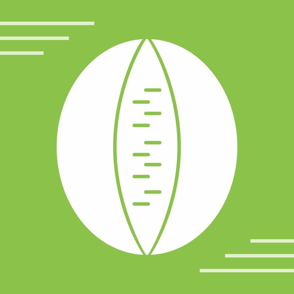 Rockmelon Vector Icon