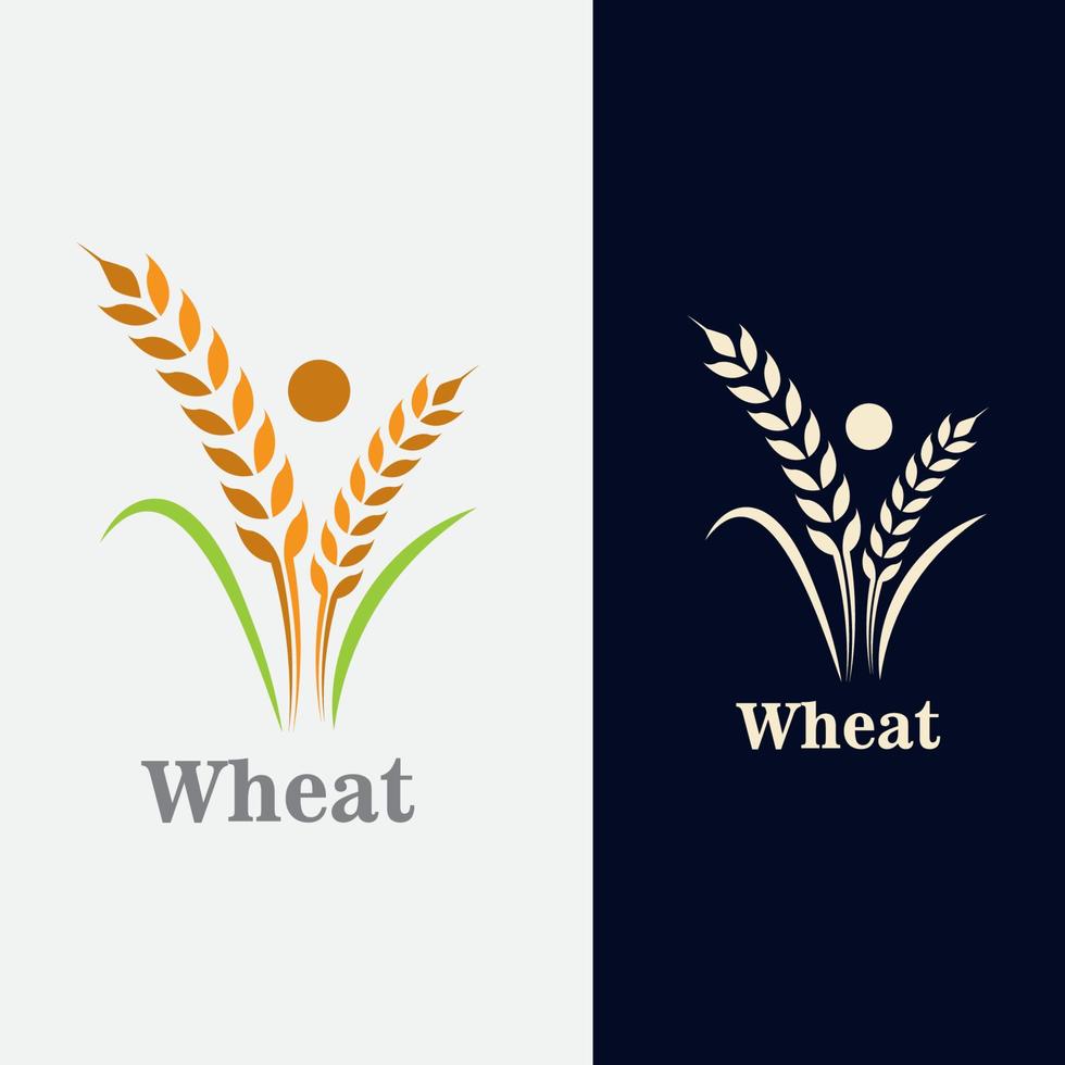 trigo grano agricultura logo diseño para panadería negocio modelo vector