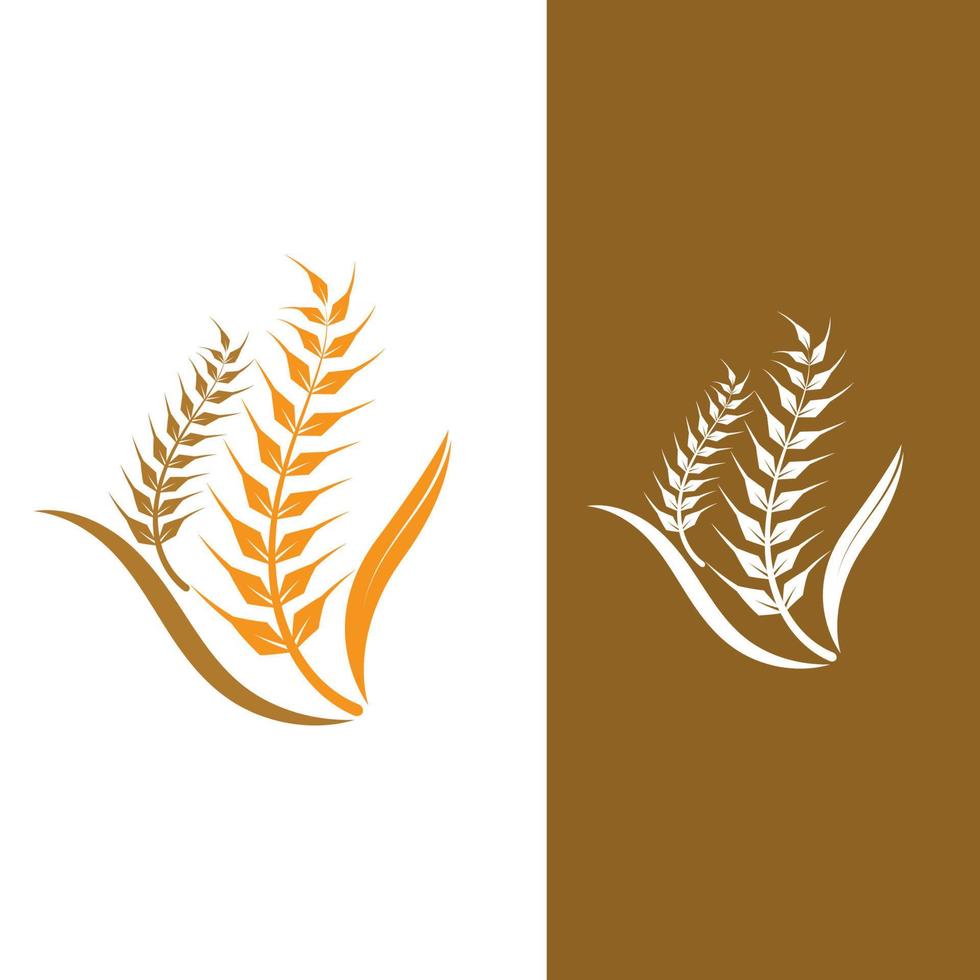 Wheat grain agriculture logo design for bakery business template vector