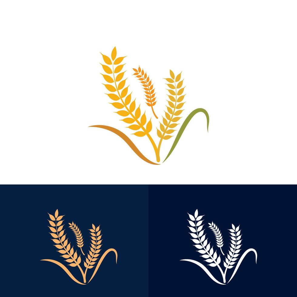 trigo grano agricultura logo diseño para panadería negocio modelo vector