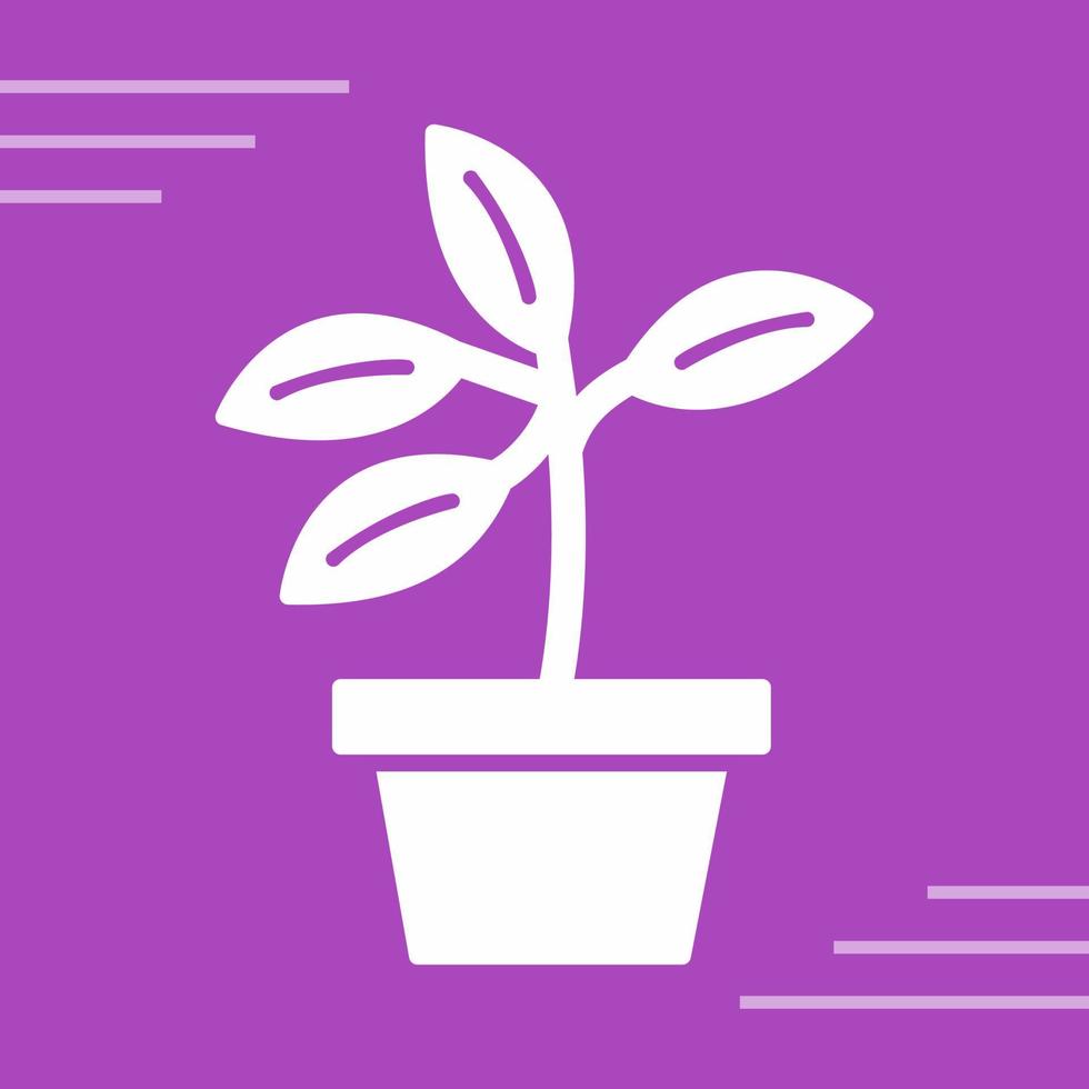 Plant Vector Icon