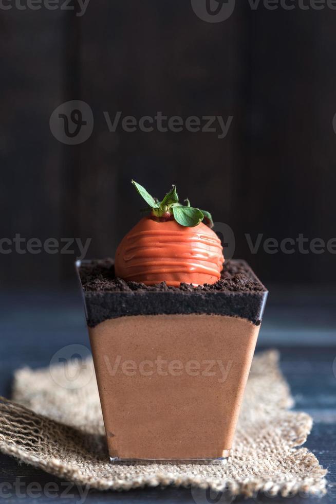 Chocolate mousse and carrot photo